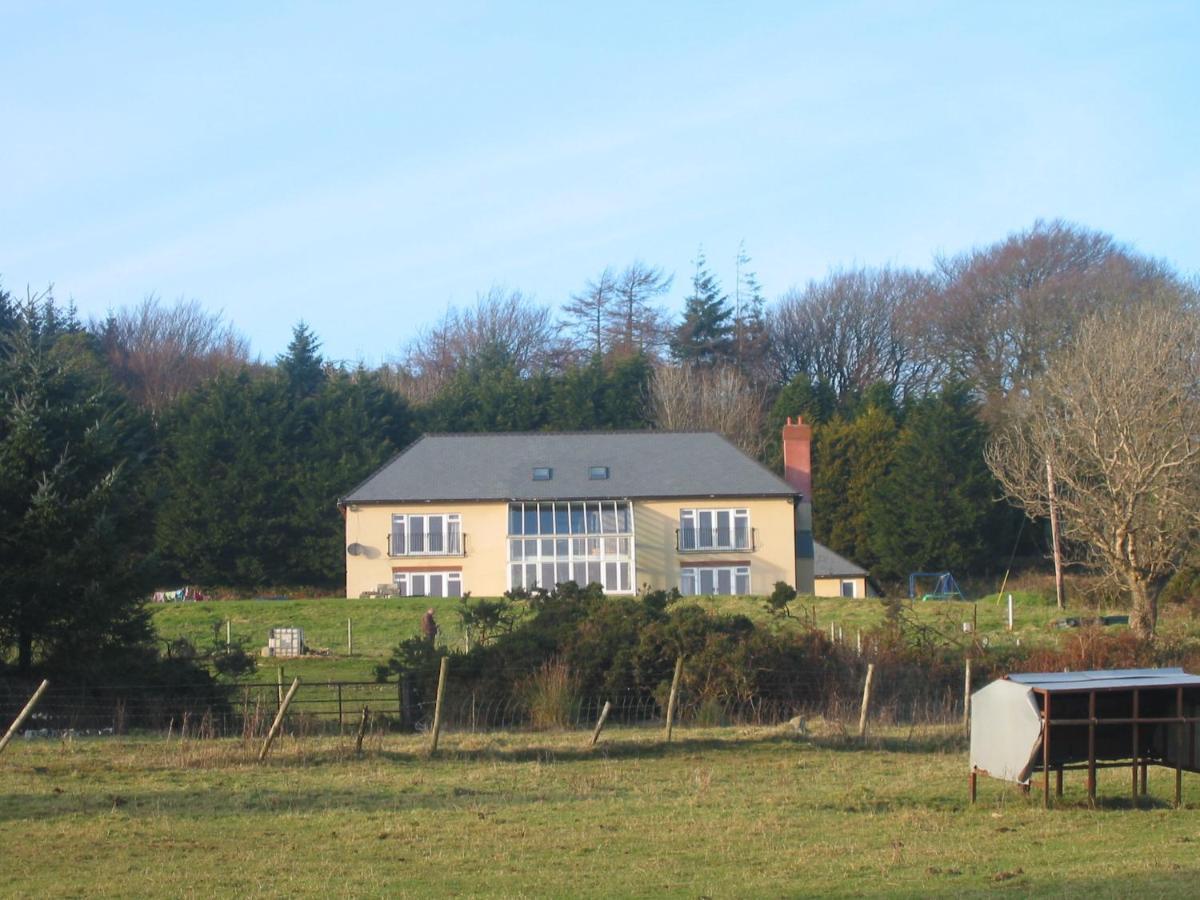 Bed and Breakfast The Dales Gorey Exterior foto